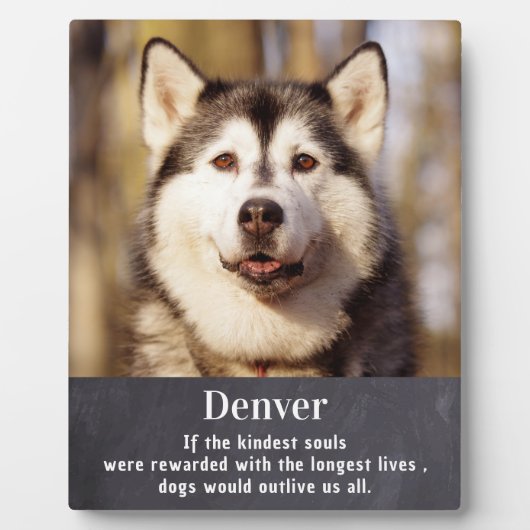 Dog Memorial - Pet Loss Sympathy - Aangepaste foto Fotoplaat (Voorkant)