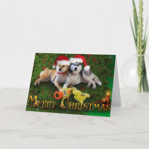 Dog Merry kerstKaart Feestdagen Kaart