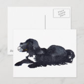 Dog met Ball wil Fetch spelen Briefkaart (Voorkant / Achterkant)
