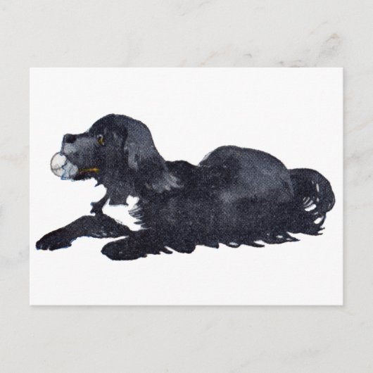 Dog met Ball wil Fetch spelen Briefkaart (Voorkant)