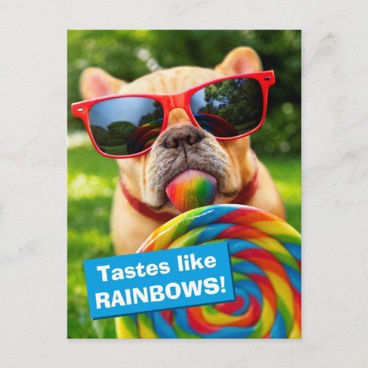 Dog met Big Lollipop Uitnodiging Briefkaart (Voorkant)