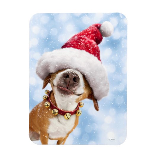 Dog met Big Santa Hat Magneet (Verticaal)