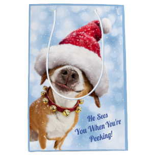 Dog met Big Santa Hat Medium Cadeauzakje