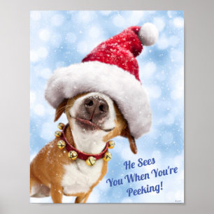 Dog met Big Santa Hat Poster