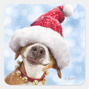 Dog met Big Santa Hat Vierkante Sticker