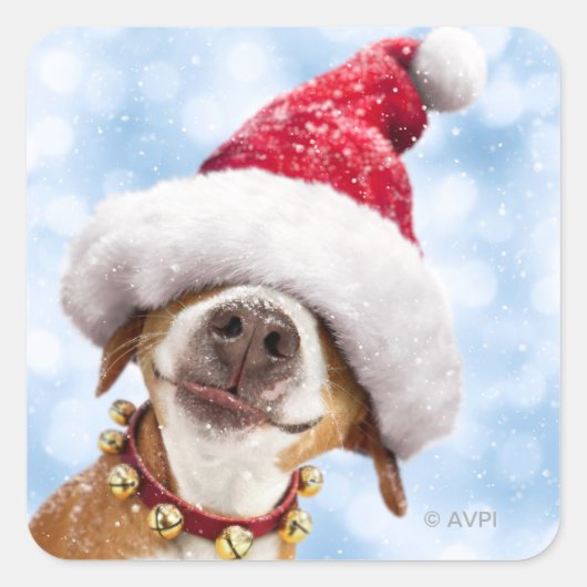 Dog met Big Santa Hat Vierkante Sticker (Voorkant)