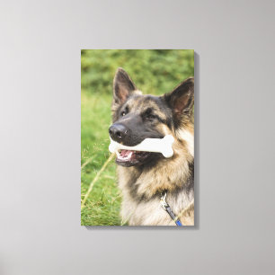 Dog met bot canvas afdruk