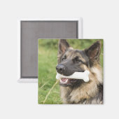 Dog met bot magneet (Voorkant / Achterkant)