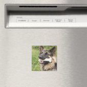 Dog met bot magneet (Insitu (Vaatwasser))