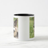 Dog met bot mok (Midden)