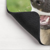 Dog met bot muismat (Hoek)