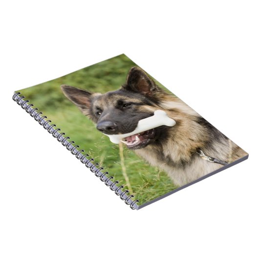 Dog met bot notitieboek (Rechterzijde)