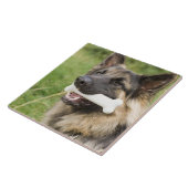 Dog met bot tegeltje (Zijkant)