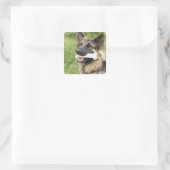 Dog met bot vierkante sticker (Tas)