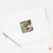 Dog met bot vierkante sticker (Envelop)