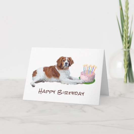 Dog met Cake Birthday Card Feestdagen Kaart (Voorkant)
