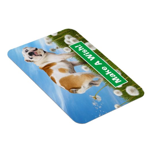 Dog met Dandelion Magneet (Rechterzijde)