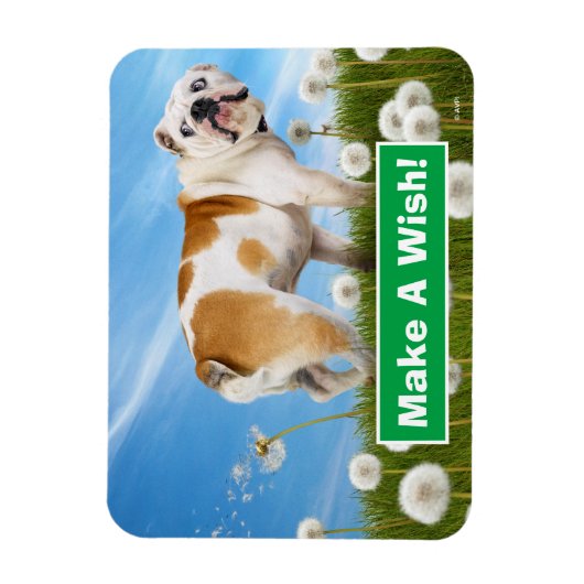 Dog met Dandelion Magneet (Verticaal)