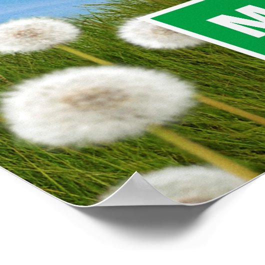 Dog met Dandelion Poster (Hoek)