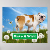 Dog met Dandelion Poster (Voorkant)