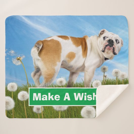 Dog met Dandelion Sherpa Deken (Voorkant (horizontaal))