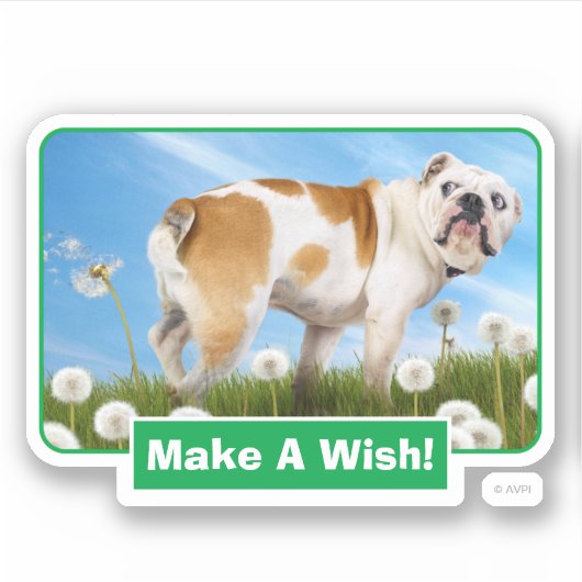 Dog met Dandelion Sticker (Voorkant)