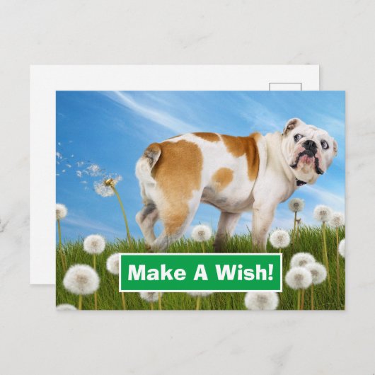 Dog met Dandelion Uitnodiging Briefkaart (Voorkant / Achterkant)