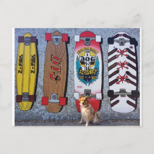 Dog met de muurschildering van het skateboard van  briefkaart