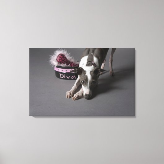 Dog met diva bowl, snuffelvloer canvas afdruk (Voorkant)