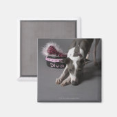 Dog met diva bowl, snuffelvloer magneet (Voorkant / Achterkant)