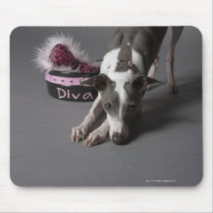 Dog met diva bowl, snuffelvloer muismat