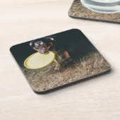 Dog met Frisbee in de mond Drankjes Onderzetter (Linkerzijde)