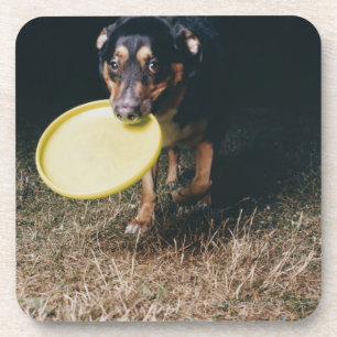 Dog met Frisbee in de mond Drankjes Onderzetter