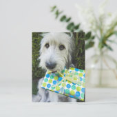 Dog met geschenk in de mond briefkaart (Staand voorkant)