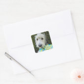 Dog met geschenk in de mond vierkante sticker (Envelop)
