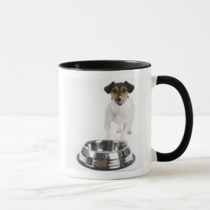 Dog met grote Bowl Mok