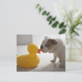 Dog met kunststofeend briefkaart (Staand voorkant)