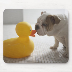 Dog met kunststofeend muismat