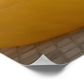 Dog met kunststofeend poster (Hoek)