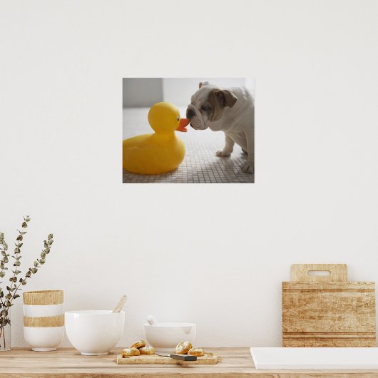 Dog met kunststofeend poster (Keuken)