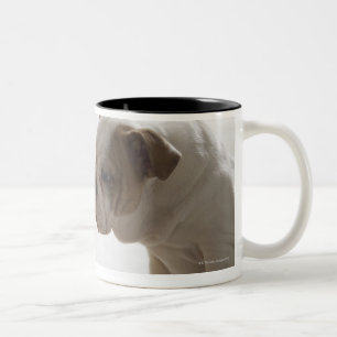 Dog met kunststofeend tweekleurige koffiemok