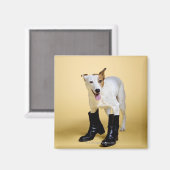 Dog met laarzen magneet (Voorkant / Achterkant)