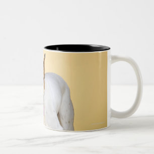 Dog met laarzen tweekleurige koffiemok
