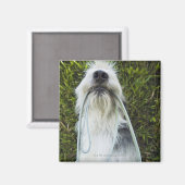 Dog met mondspoeling magneet (Voorkant / Achterkant)