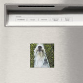 Dog met mondspoeling magneet (Insitu (Vaatwasser))