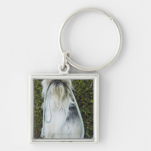 Dog met mondspoeling sleutelhanger (Voorkant)