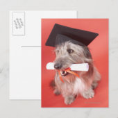 Dog met mortarboard en diploma briefkaart (Voorkant / Achterkant)