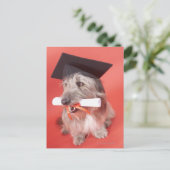 Dog met mortarboard en diploma briefkaart (Staand voorkant)