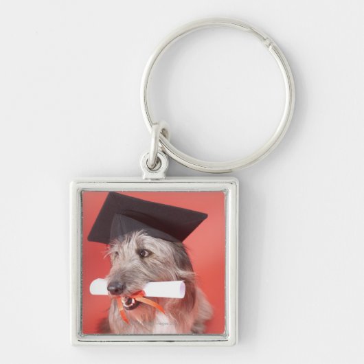 Dog met mortarboard en diploma sleutelhanger (Voorkant)