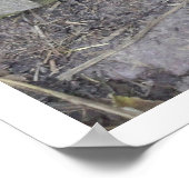 Dog met neus door gat in hek poster (Hoek)